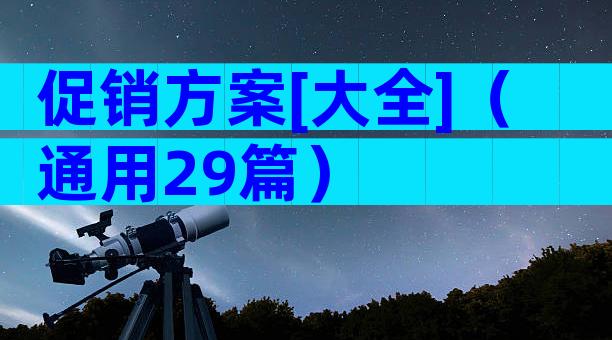 促销方案[大全]（通用29篇）